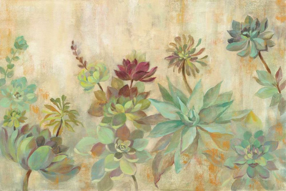 Jardim de Suculentas 1 — Vassileva, Silvia