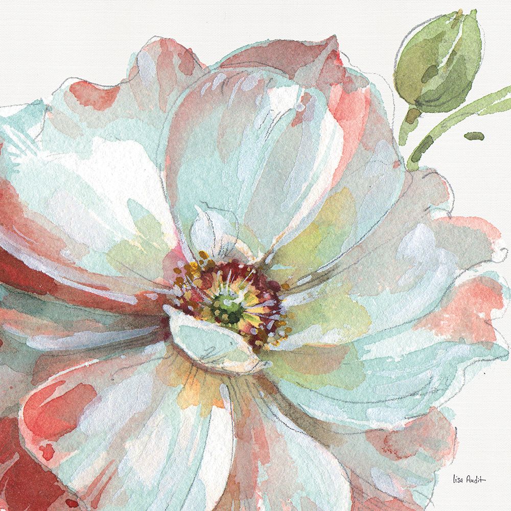 Campina na Primavera VI — Audit, Lisa