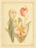 Tulipas e Borboletas I — Nai, Danhui