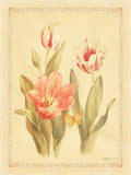 Tulipas e Borboletas II — Nai, Danhui
