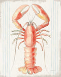 Náutico II — sem palavras — Nai, Danhui