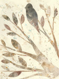 Maravilha Natural II — Prahl, Courtney