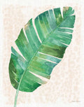 Da Selva X — sem palavras — Grove, Beth