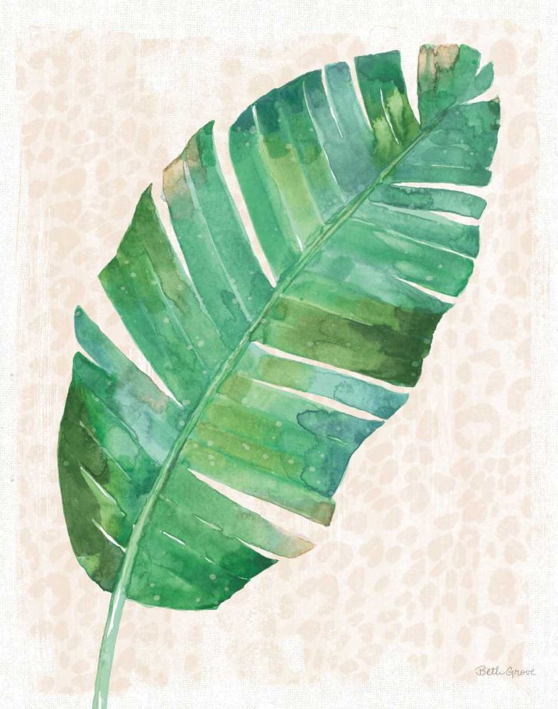 Da Selva X — sem palavras — Grove, Beth