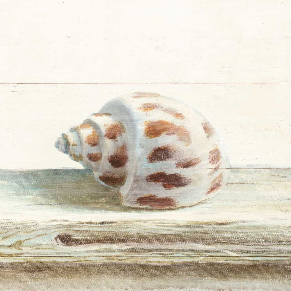 Concha e Madeira do Mar II — Nai, Danhui