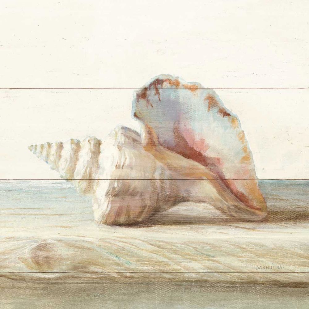 Concha e Madeira do Mar IV — Nai, Danhui