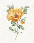 Solidão Floral V — Grove, Beth