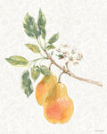 Solidão Floral VII — Grove, Beth