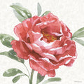 Solidão Floral XII — Grove, Beth