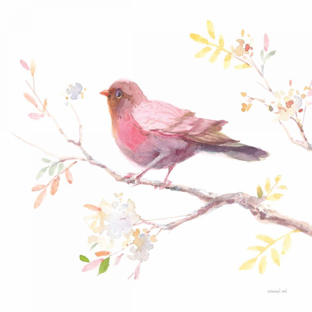 Amigos de Voo II — Nai, Danhui