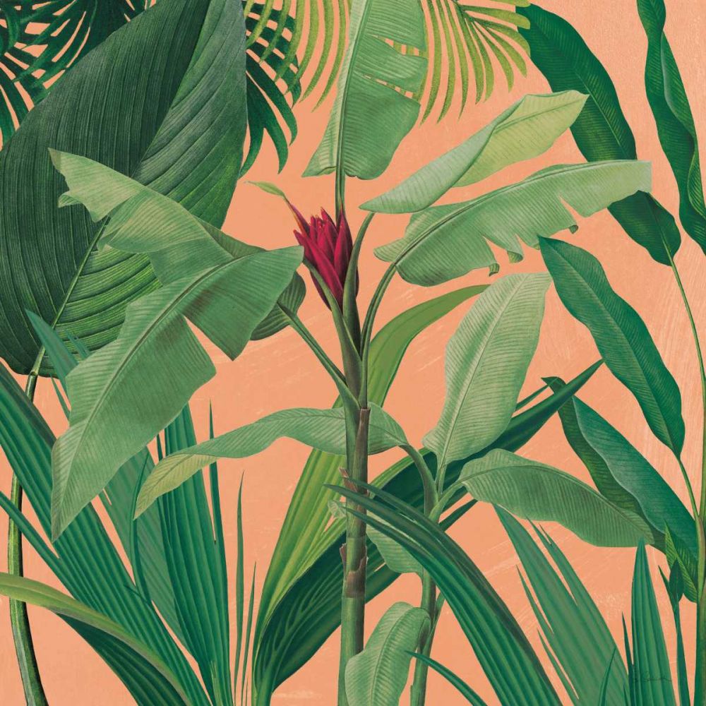 Tropical Dramático I — boho — Schlabach, Sue