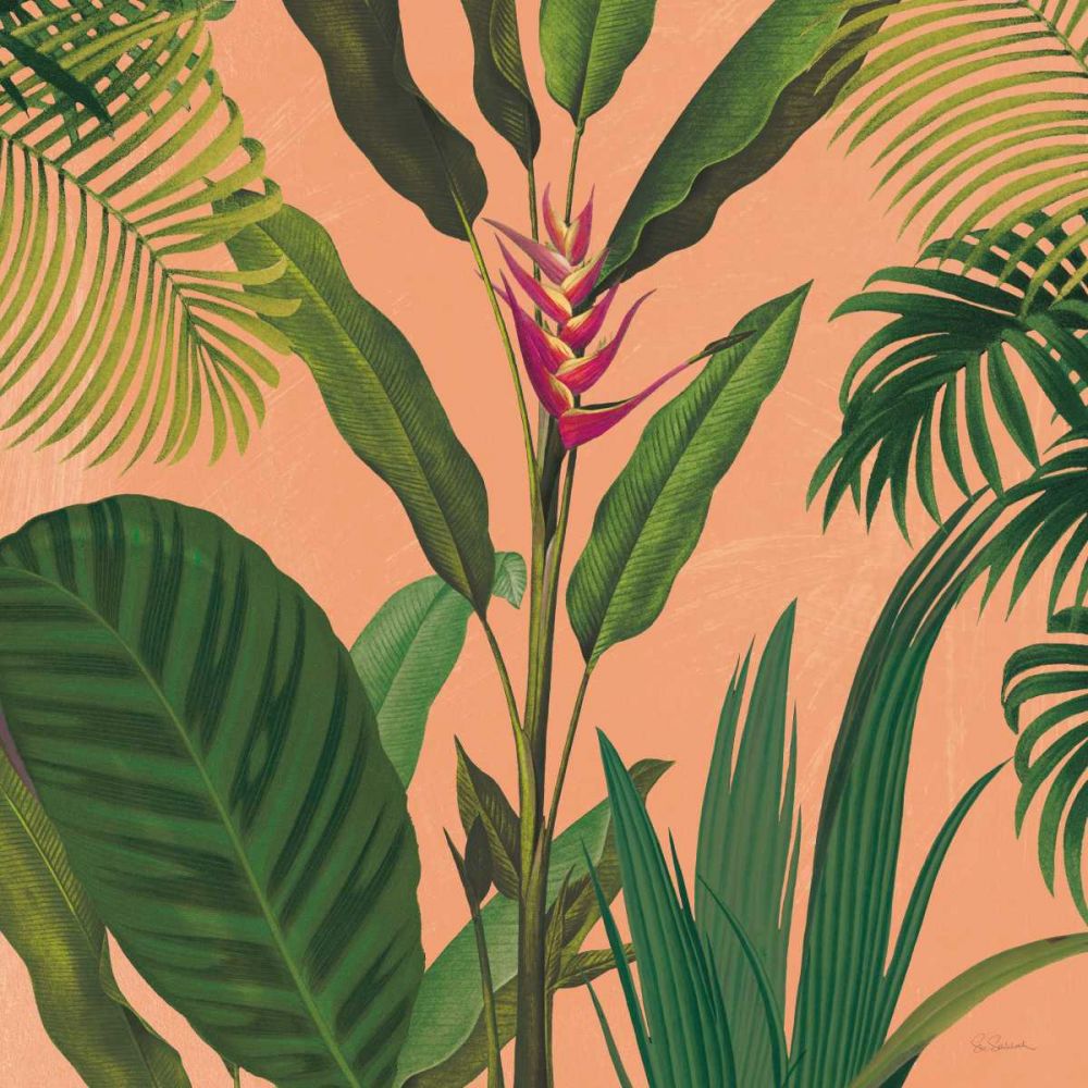 Tropical Dramático II — boho — Schlabach, Sue