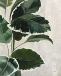 Estudo Tropical I — Purinton, Julia