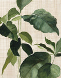 Estudo Tropical II Linho — Purinton, Julia