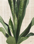 Estudo Tropical III Linho — Purinton, Julia