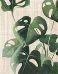 Estudo Tropical IV Linho — Purinton, Julia