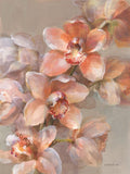 Orquídea Delicada I — Nai, Danhui