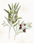 Motivo Mediterrâneo VIII — Grove, Beth