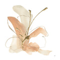 Flor da Borboleta I — Paschke, Chris