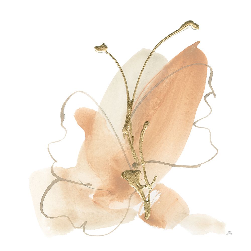 Flor da Borboleta II — Paschke, Chris