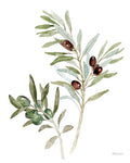 Motivo Mediterrâneo IX sobre Branco — Grove, Beth