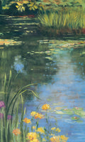 Lago do Jardim II — Rowan, Carol