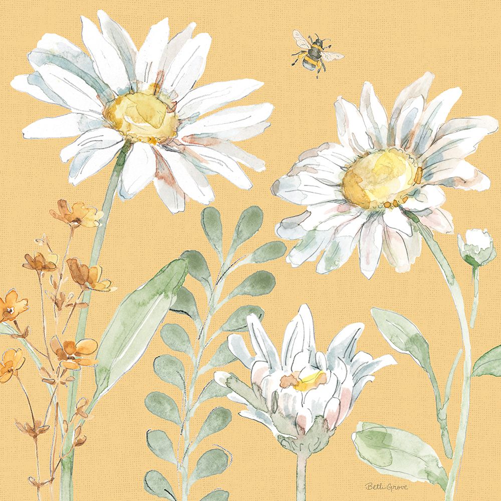 Dias de Margaridas VIII — Grove, Beth
