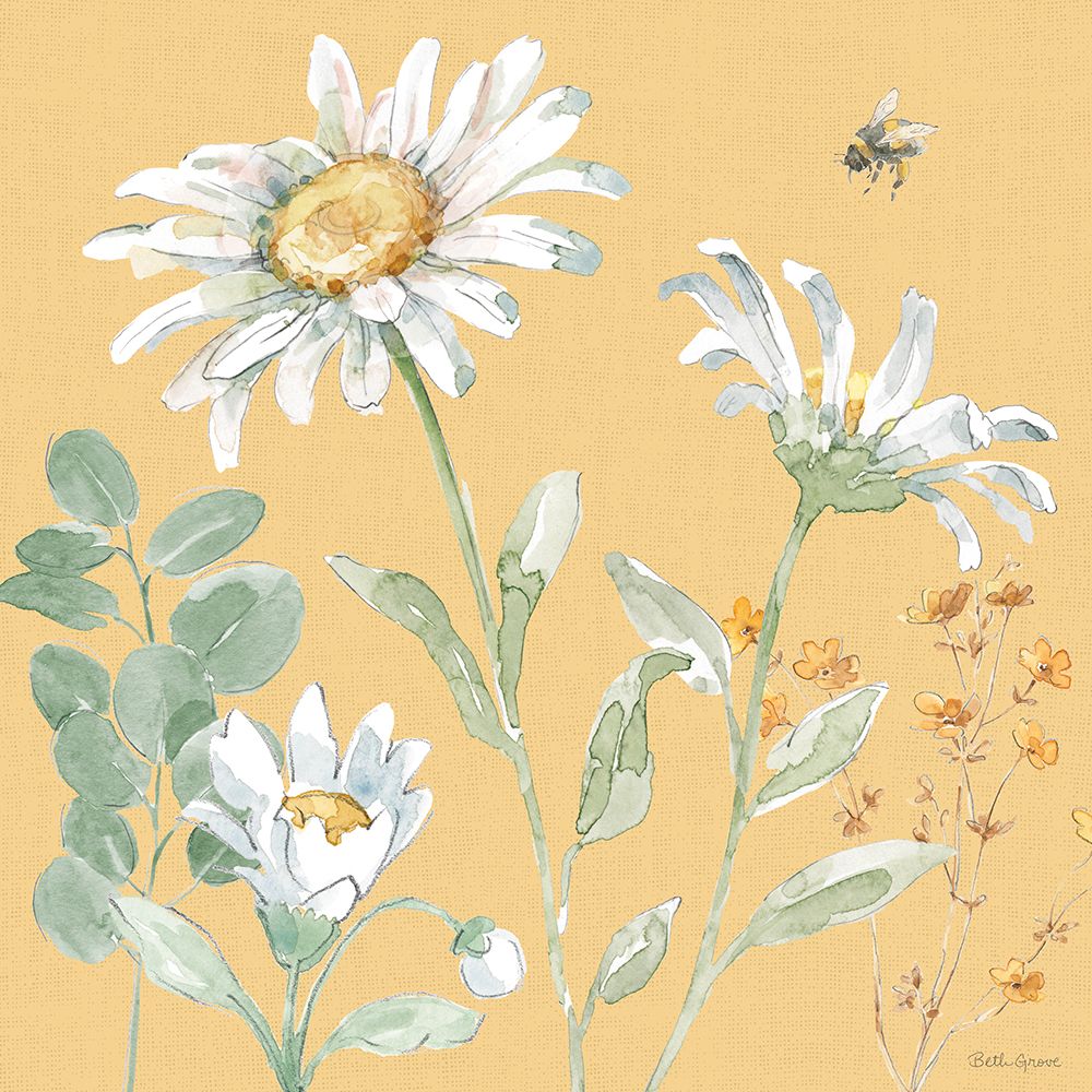 Dias de Margaridas IX — Grove, Beth