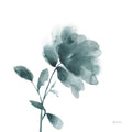 Flor Tranquila II — Amant, Yvette St.