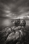Península de Bonavista — Majchrowicz, Alan