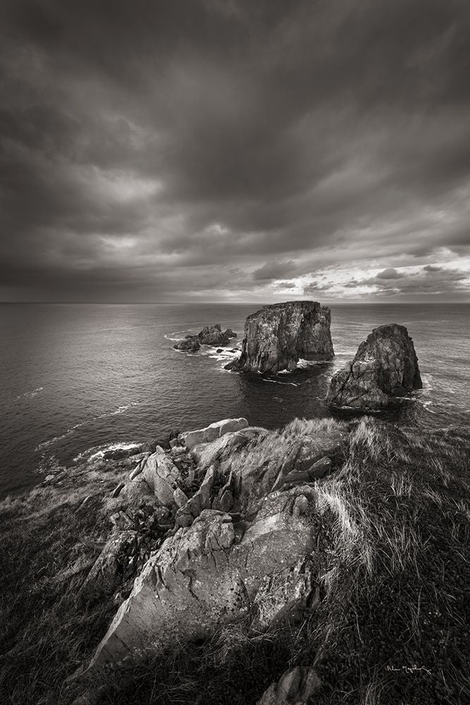Península de Bonavista — Majchrowicz, Alan