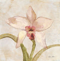 Orquídea I — Blum, Cheri