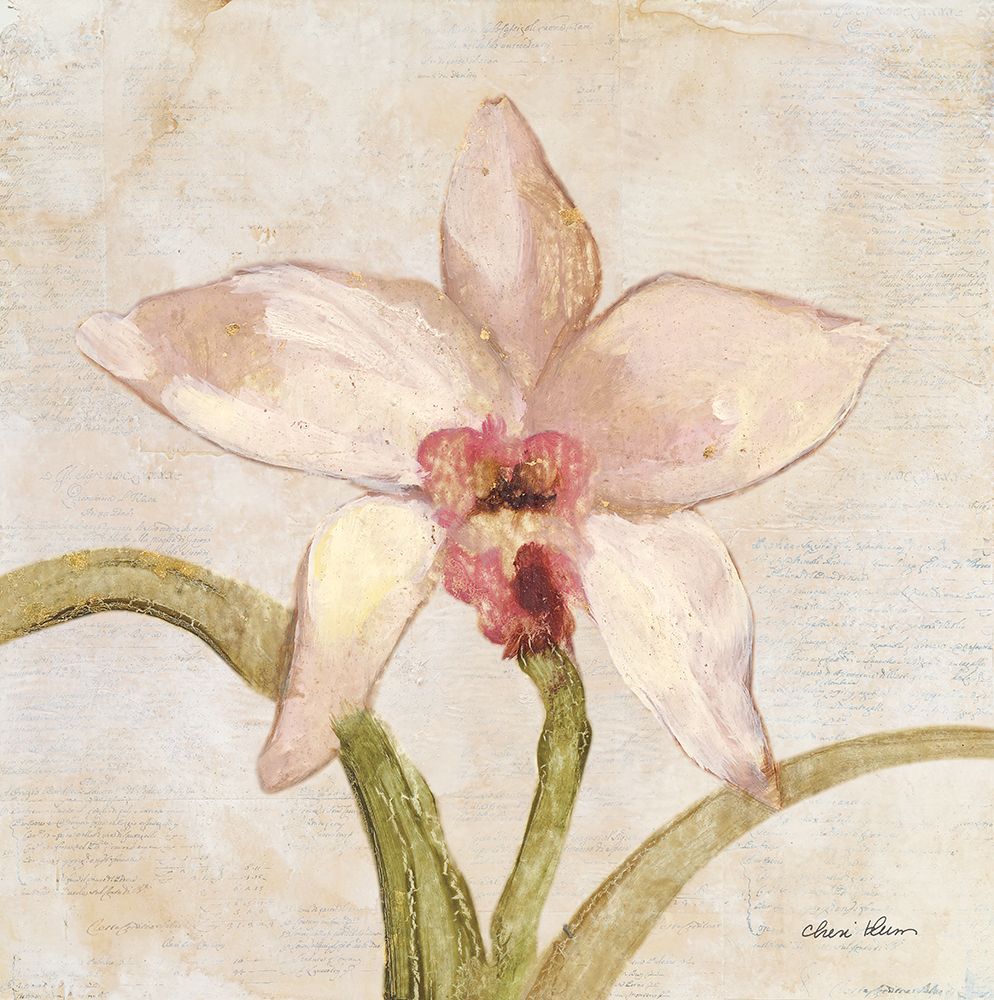 Orquídea I — Blum, Cheri