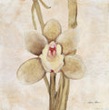 Orquídea II — Blum, Cheri