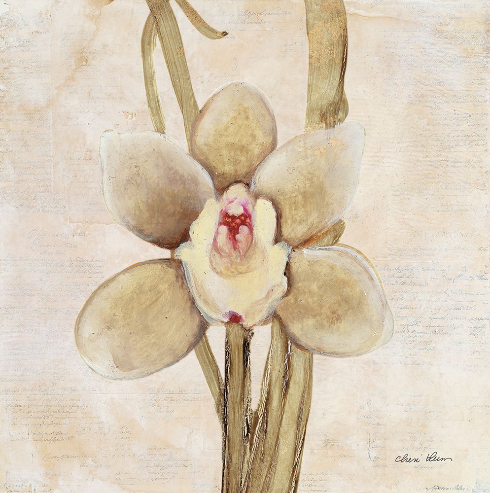 Orquídea II — Blum, Cheri