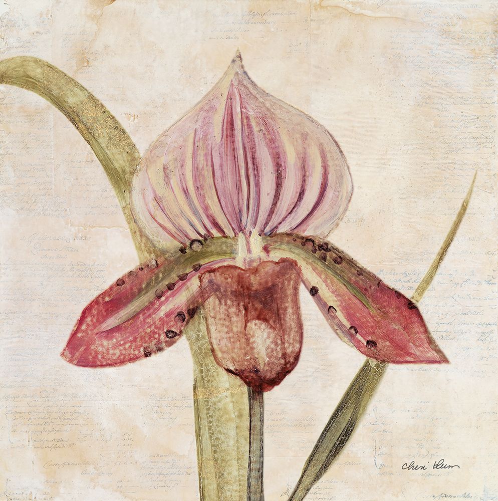 Orquídea III — Blum, Cheri