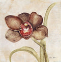 Orquídea V — Blum, Cheri
