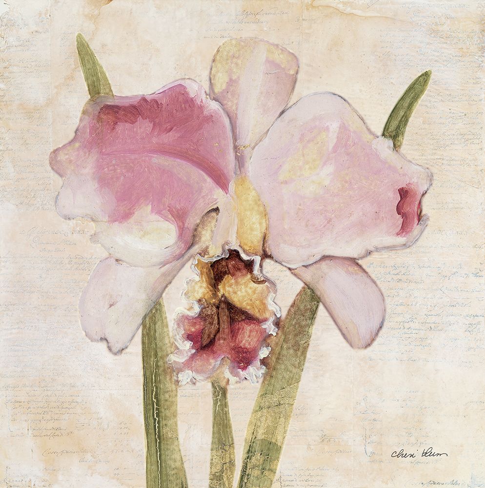 Orquídea VI — Blum, Cheri