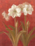 Amarílis Branca sobre Vermelho II — Nai, Danhui