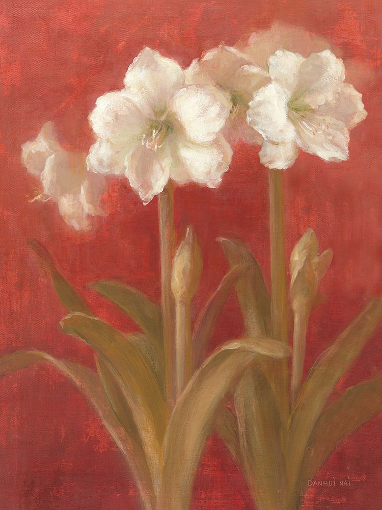 Amarílis Branca sobre Vermelho II — Nai, Danhui