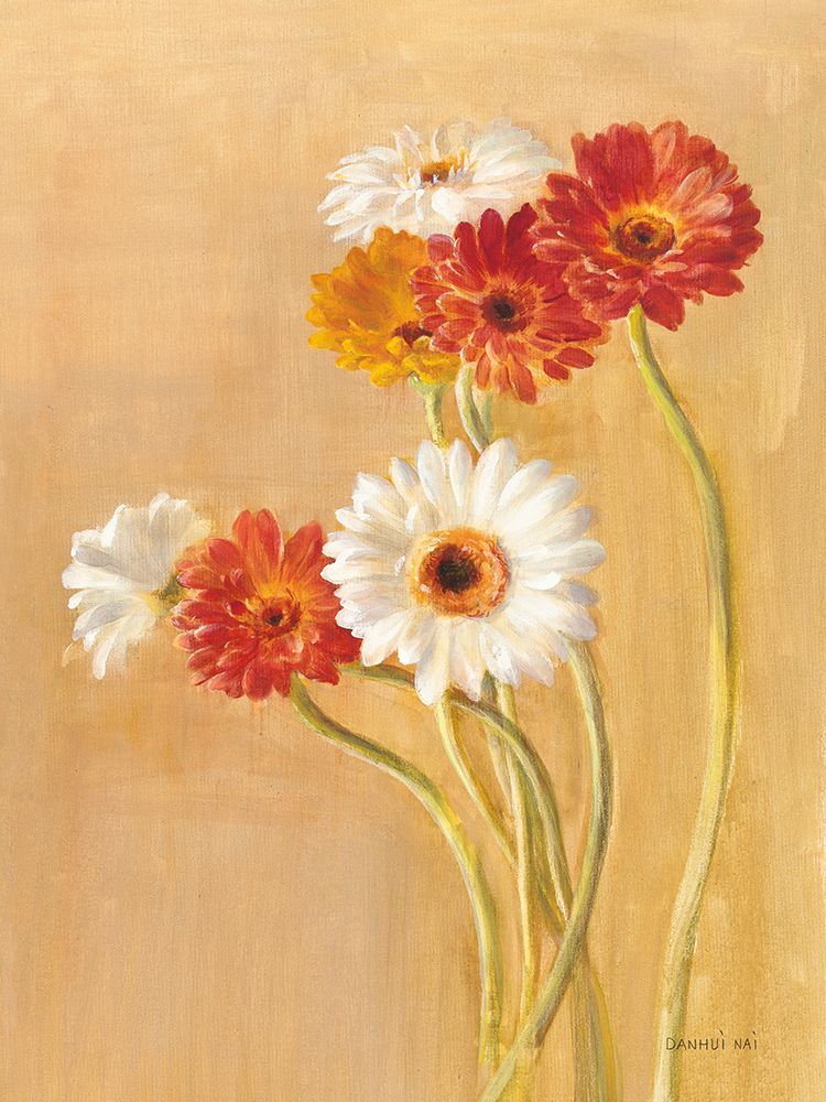 Gérberas Dançantes — Nai, Danhui