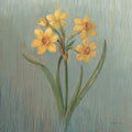 Narciso da Casa de Campo — Nai, Danhui