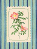 Flores Vintage Listradas II — Urban, Mary