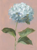 Hortênsia sobre Rosa Empoeirado I — Nai, Danhui