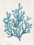 Flora e Fauna da Praia I 2 — Adams, Sarah