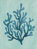 Flora e Fauna da Praia I 1 — azul-petróleo — Adams, Sarah