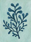Flora e Fauna da Praia II 1 — azul-petróleo — Adams, Sarah