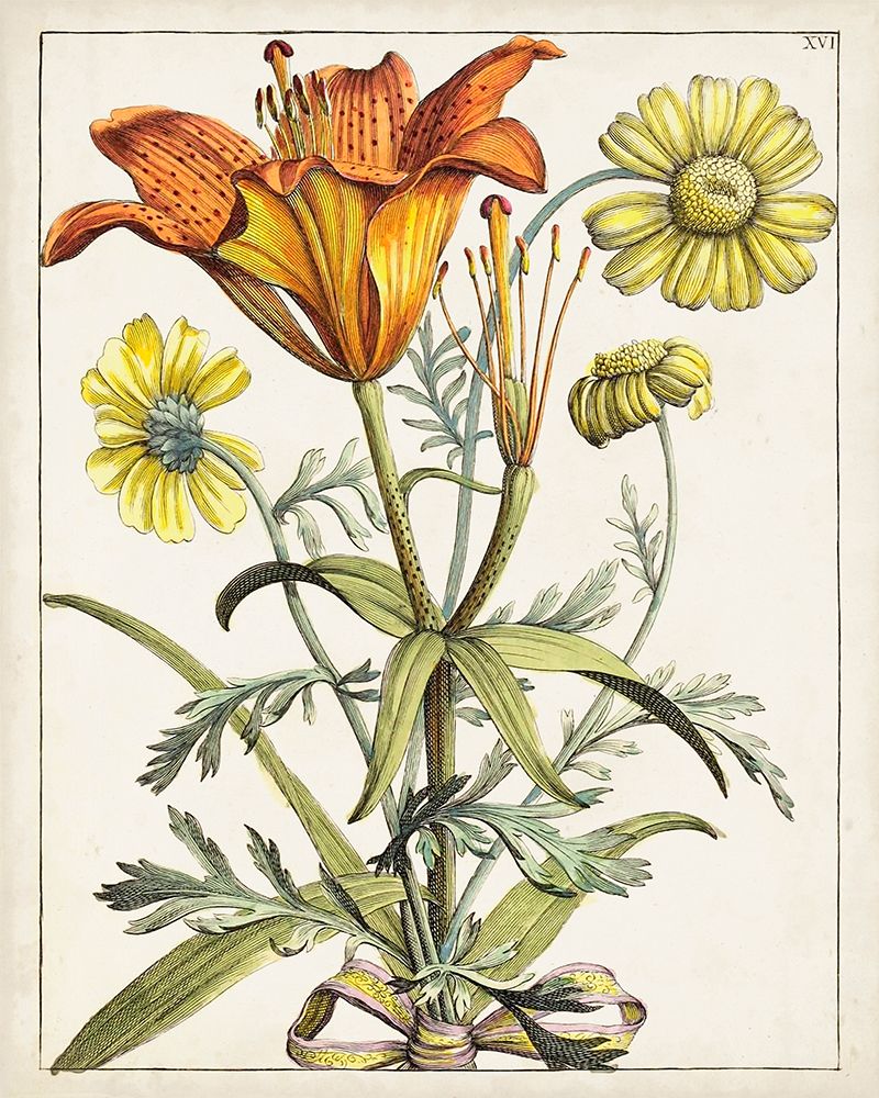 Florais Holandeses V — Unknown