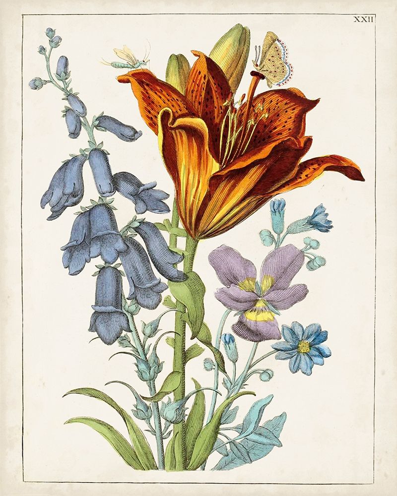 Florais Holandeses VI — Unknown