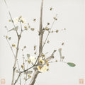 Insetos e Flores II — Lian, Ju